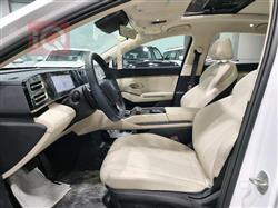 بي واي دي كوين L DM-i